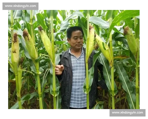 高清稳定流畅的足球直播APP下载安装到手机即看全球赛事精彩 - 副本 - 副本 (11) - 副本 - 副本 - 副本 高清稳定流畅的足球直播APP下载安装到手机即看全球赛事精彩 - 副本 - 副本 (11) - 副本 - 副本 - 副本