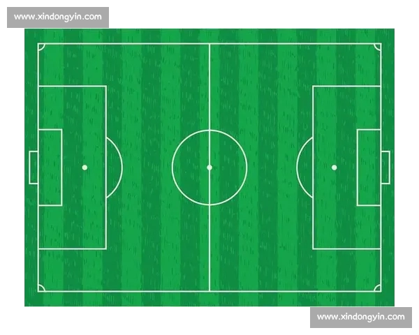 足球主客场分析:深度探讨主场优势与客场挑战的影响因素及其数据趋势 足球主客场分析:深度探讨主场优势与客场挑战的影响因素及其数据趋势